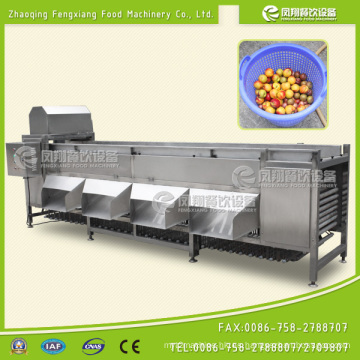 Máquina de clasificación automática de la cebolla del aguacate del alto rendimiento Efficiency